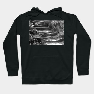 Steps Through the Forest Hoodie